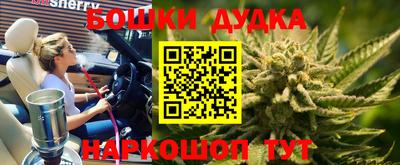 амф Дубна