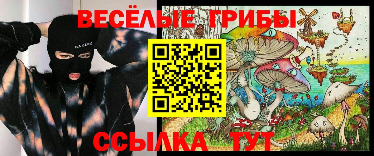 Псилоцибиновые грибы мицелий Лениногорск